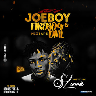 DJ Lummie - Best Of Fireboy DML & Joeboy