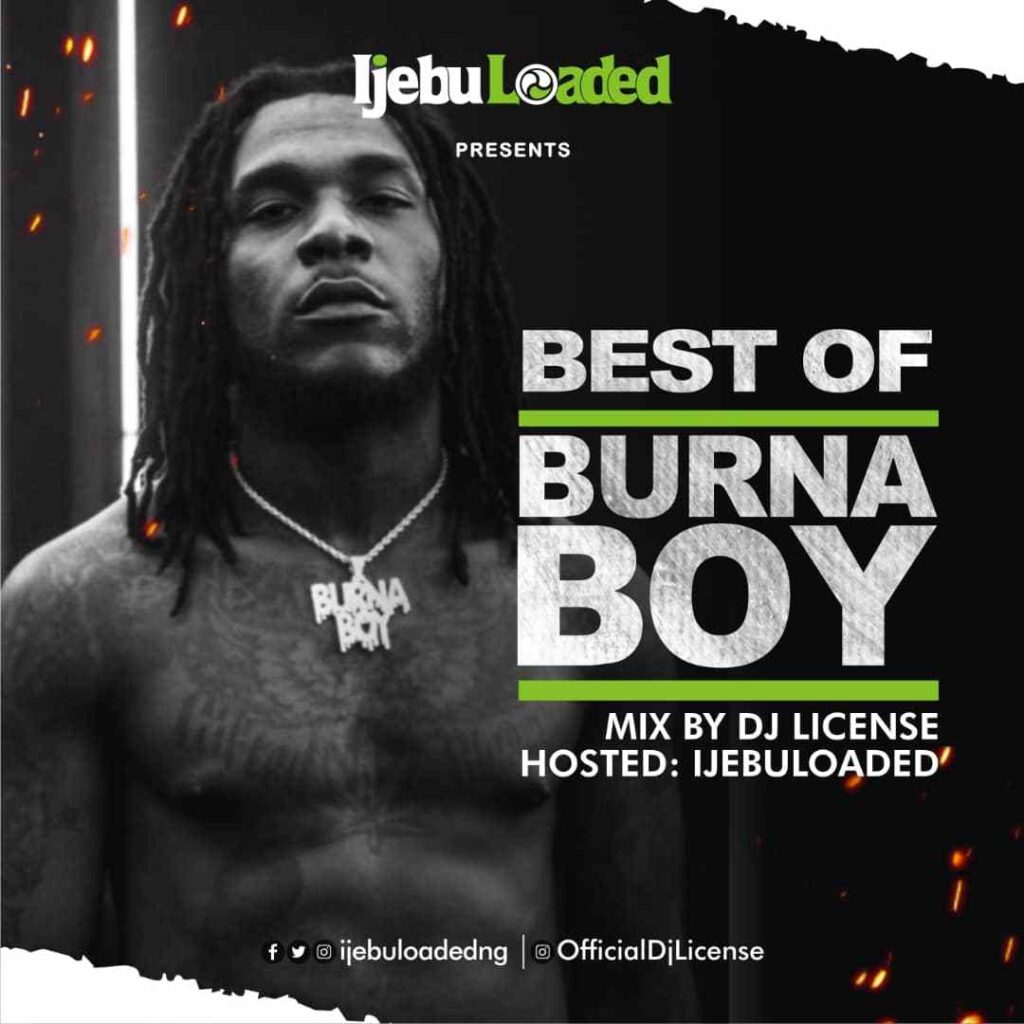 Dj License - Best Of Burna Boy Mix