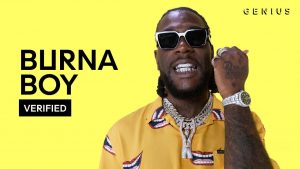 Dj Roszay - Best of Burna Boy Mix 2019