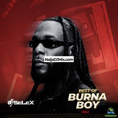 DJ Selex Best Of Burna Boy Mixtape Vol.2 (All Hit Songs)