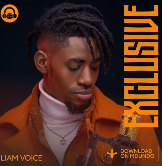 Fire Hits – Best Of Liam Voice Mix