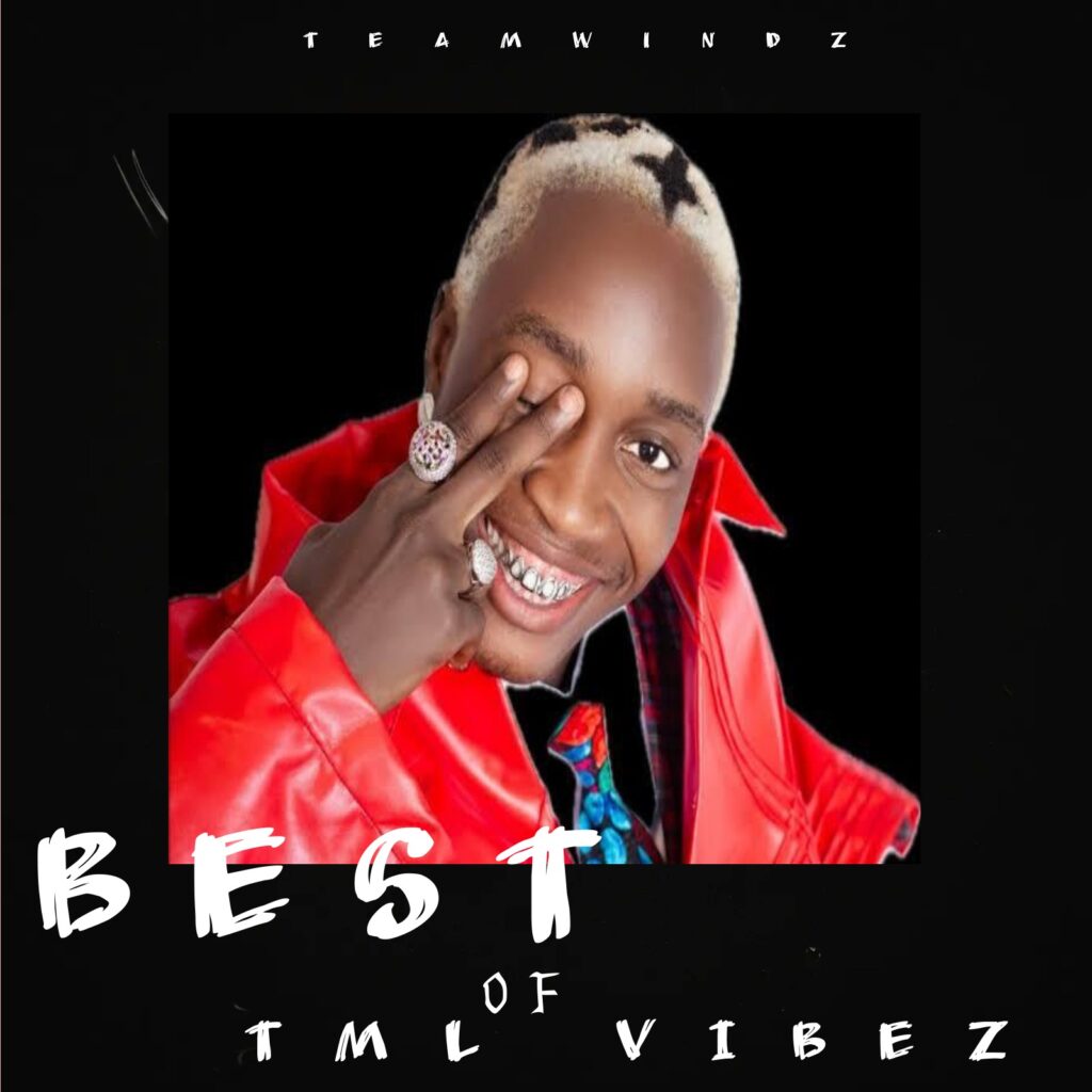 DJ Windz Best of TML Vibez Jamz Mixtape