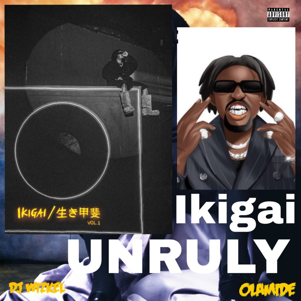 Dj Wizkel Best of Olamide ikigai Mixtape