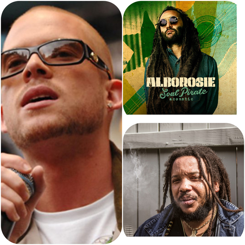 DJ Mix: Best Of Stony Hill + Stephen Marley + Alborosie + Collie Buddz Greatest Hits