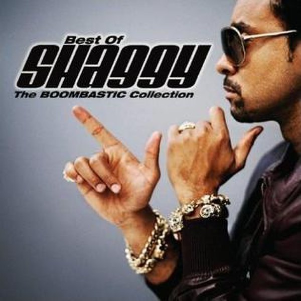 Best of Shaggy Dj Mixtape || Shaggy Greatest Hit Songs