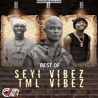 Download DJ DonMizzy Best Of Seyi Vibez & TML Vibez 2025 Feel The Rhythm DJ Mixtape