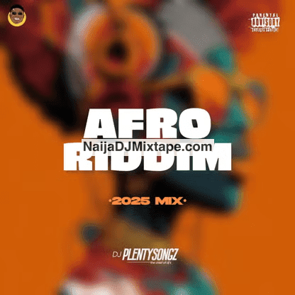 Download DJ PlentySongz Latest Naija Afro Riddim 2025 DJ Mixtape