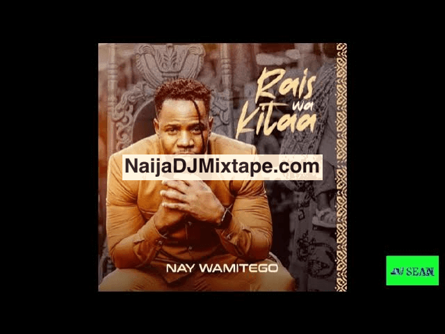 Download DJ Sean Best of Nay Wa Mitego 2025 DJ Mixtape
